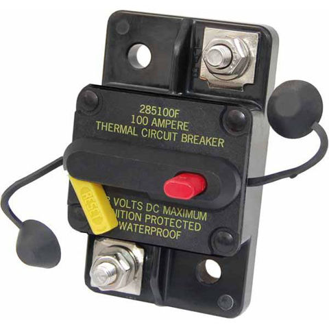 Imagen de Interruptor 100 A