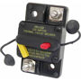 Imagen de Interruptor 80 A