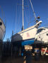 Imagen de Velero Jeanneau Sunrise 35'