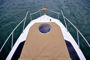 Imagen de V-300 Day Cruiser - Volvo V8 350 DPS